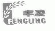 丰凌