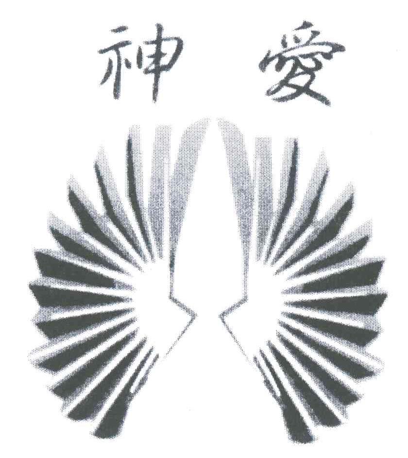 神爱