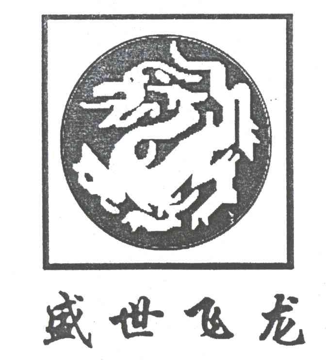 盛世飞龙