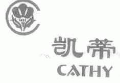 凯蒂;CATHY