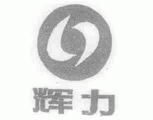 辉力