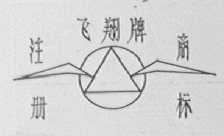 飞翔