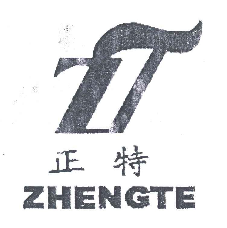 正特