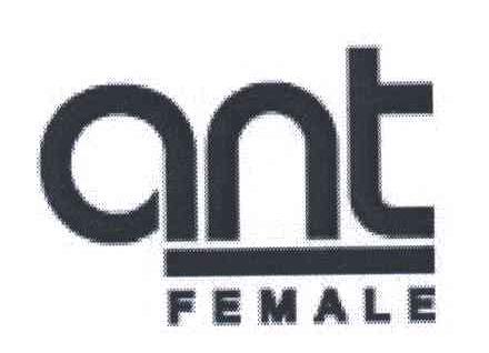 ANT FEMALE