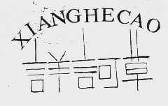 详诃草