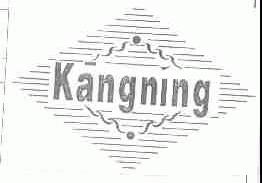 KANG NING