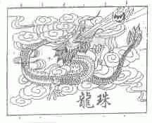 龙珠