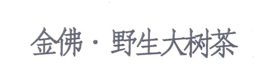 金佛野生大树茶