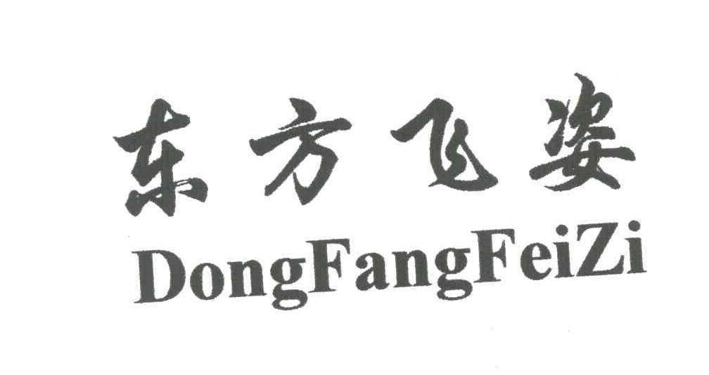 东方飞姿