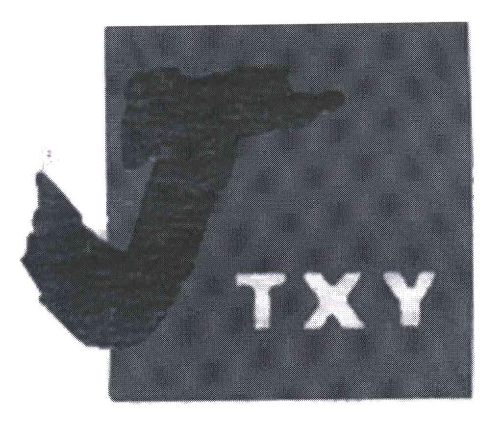 JTXY;TXY