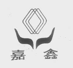 嘉鑫