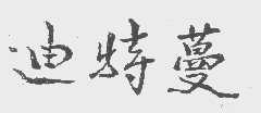 迪特蔓