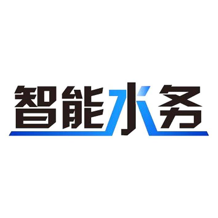 智能水务