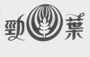 劲叶