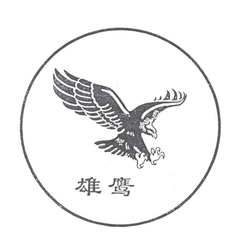 雄鹰