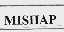 MISHAP