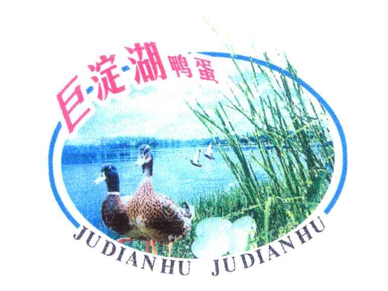 巨淀湖鸭蛋