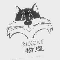 猫皇   REXCAT