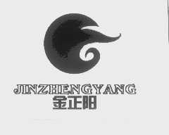 金正阳