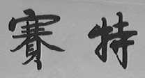 赛特