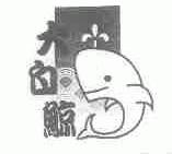 大白鲸