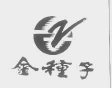 金种子