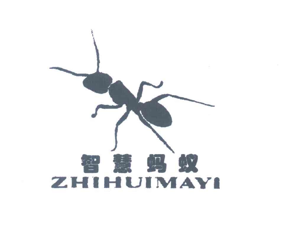 智慧蚂蚁