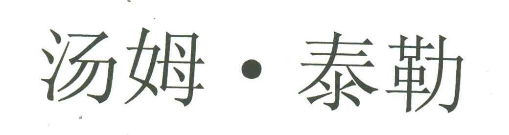 汤姆泰勒