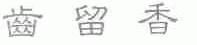 齿留香