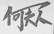 何夫人
