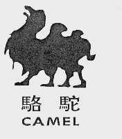 骆驼  CAMEL