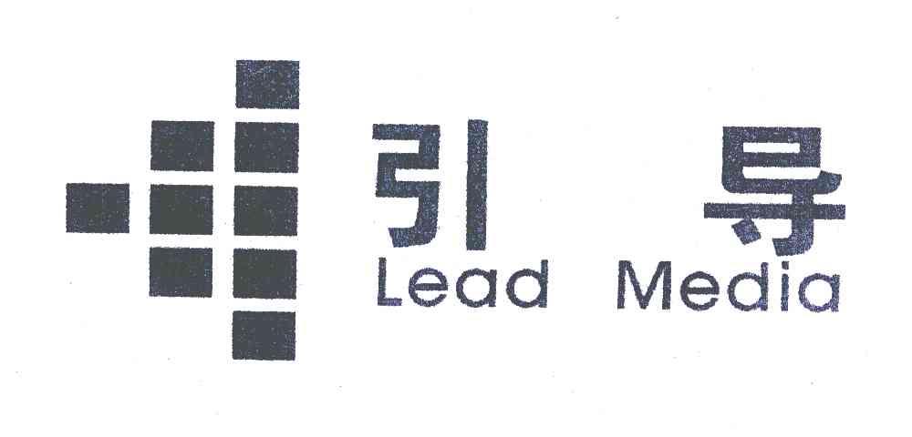 引导;LEAD MEDIA