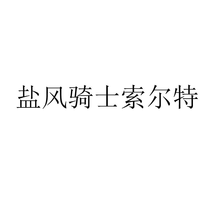 盐风骑士索尔特