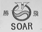 腾飞