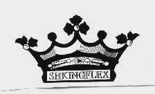 SHKINGFLEX