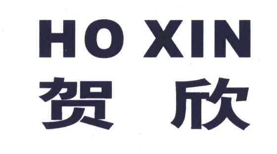 贺欣;HO XIN