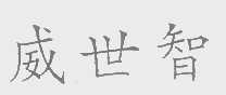 威世智