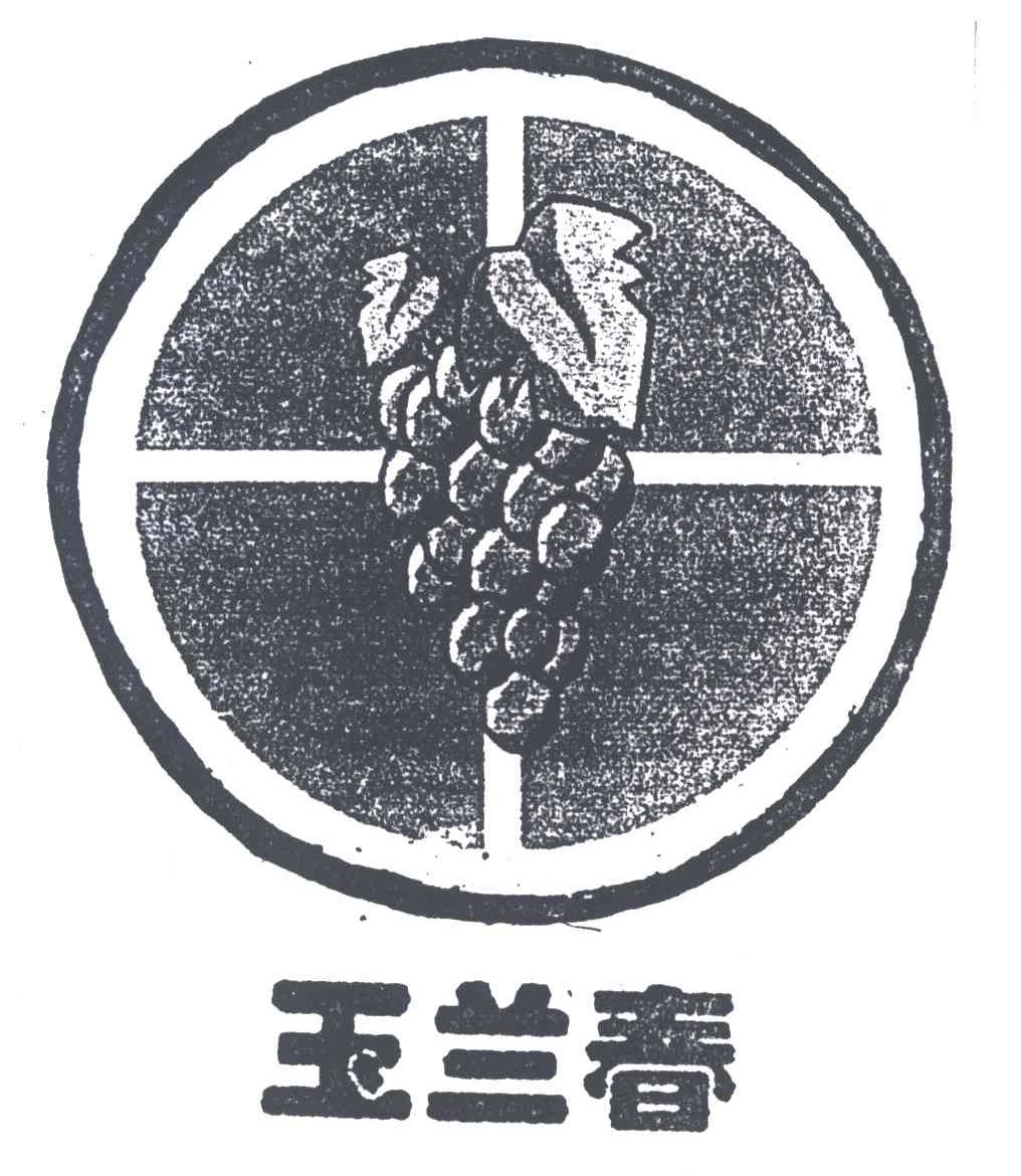 玉兰春