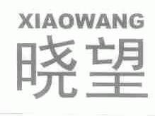 晓望
