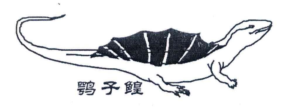 鹗子鳇