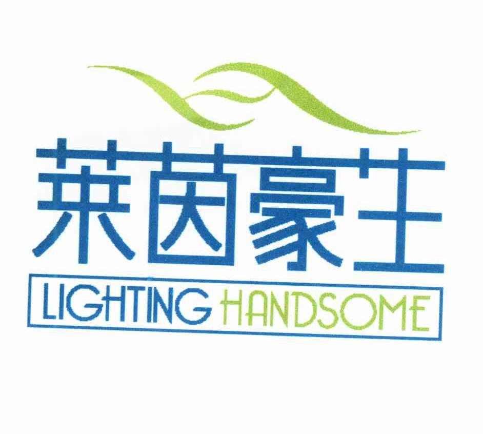 莱茵豪生;LIGHTING HANDSOME