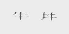 牛井