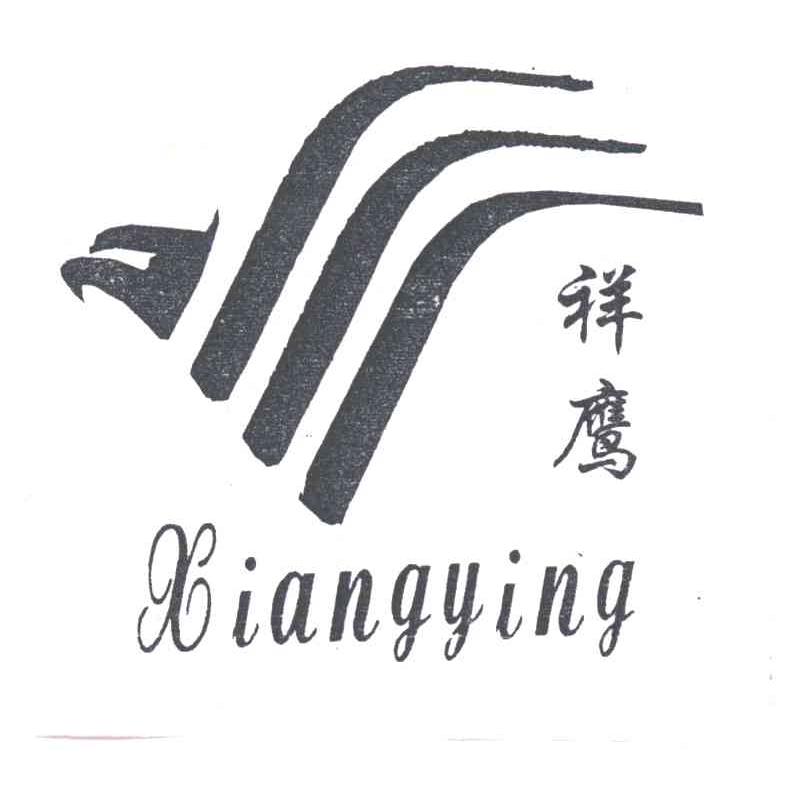 祥鹰及图形