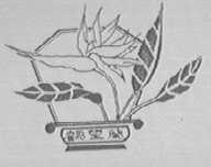 鹤望兰