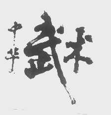 中华武术