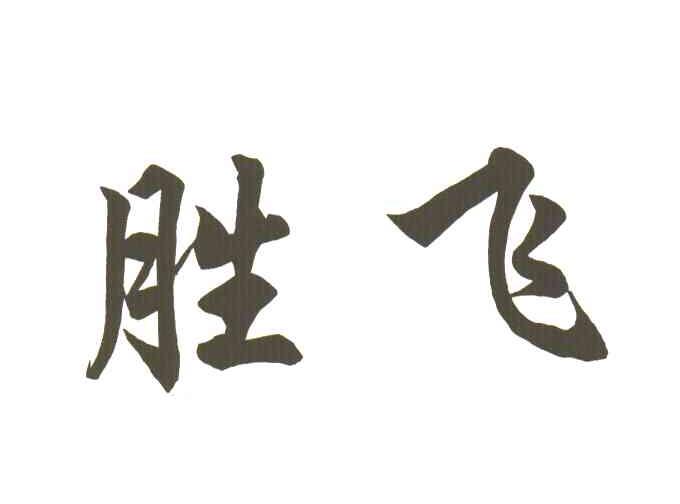 胜飞