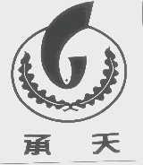 承天