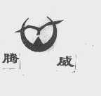 腾威