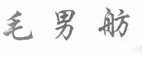 毛男舫