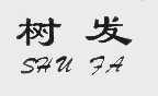 树发